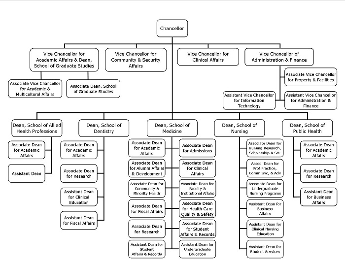 Health System Organizational Chart